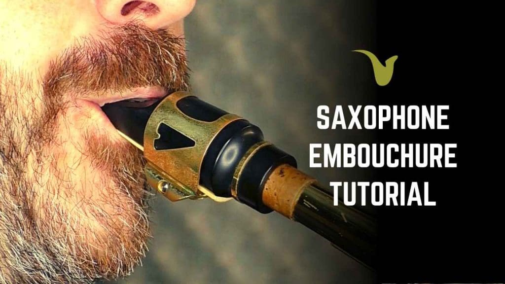 Saxophone Embouchure